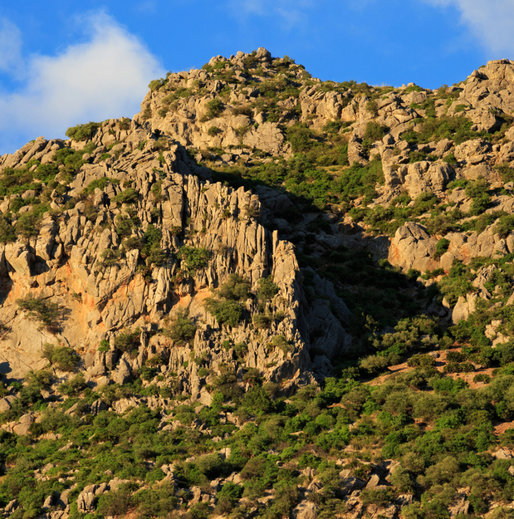 Parque Nacional de Bouhachem viaje a Marruecos por los parques naturales